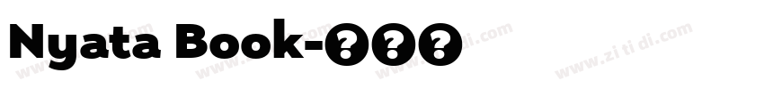 Nyata Book字体转换